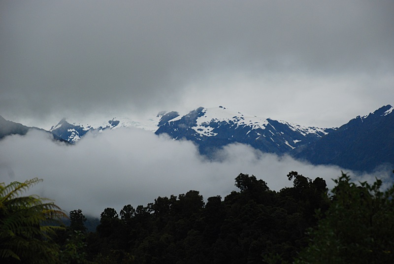 DSC_0837.JPG