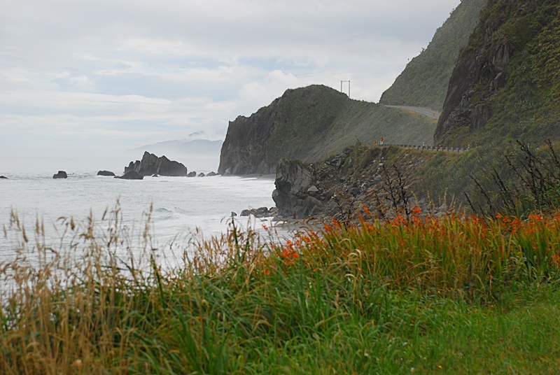 DSC_0825.JPG