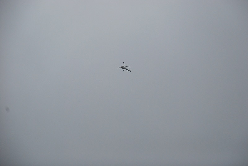 DSC_0906.JPG