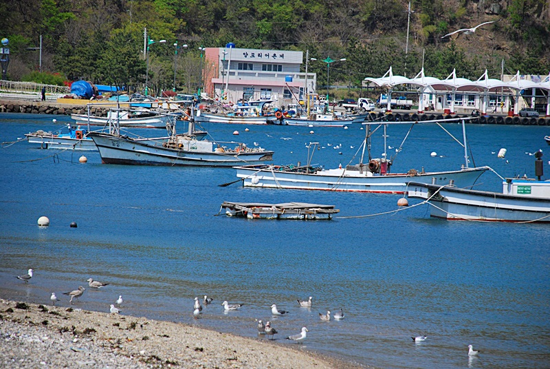 DSC_0695.JPG