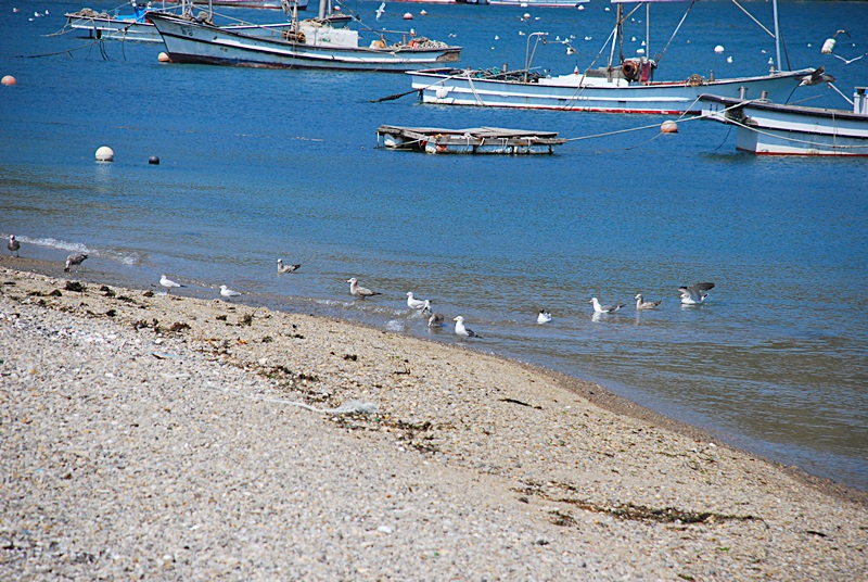 DSC_0694.JPG