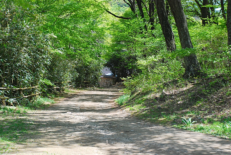 DSC_0653.JPG