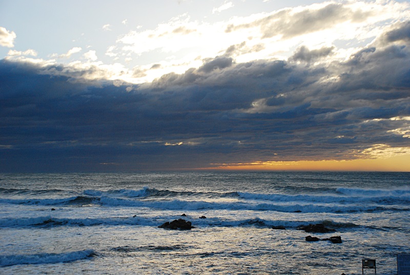 DSC_0466.JPG