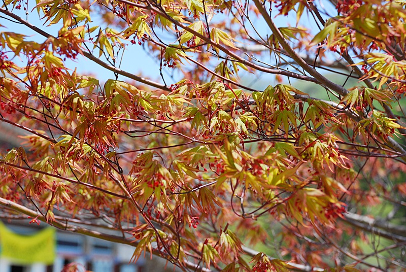 DSC_0634.JPG