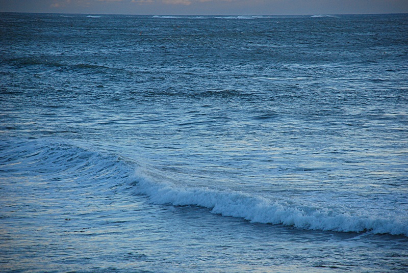 DSC_0474.JPG
