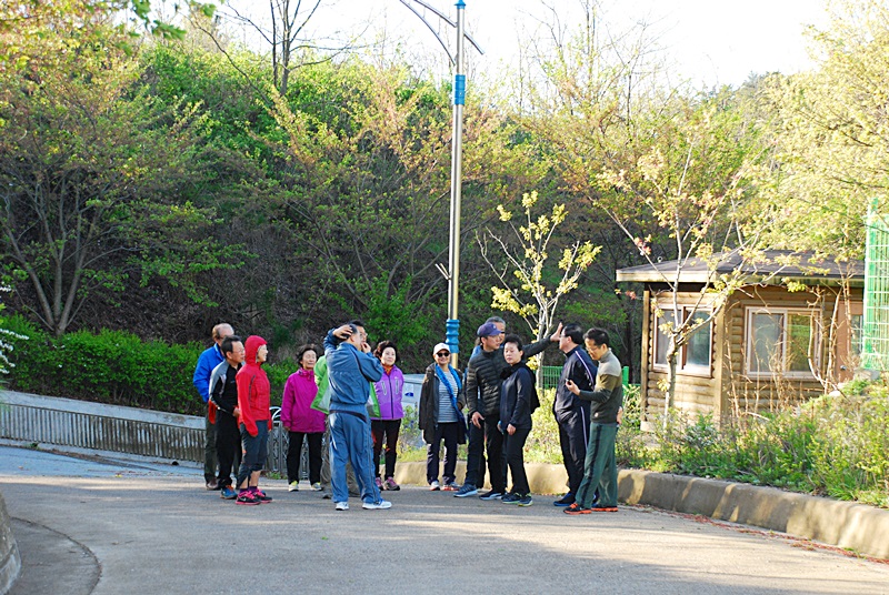 DSC_0498.JPG