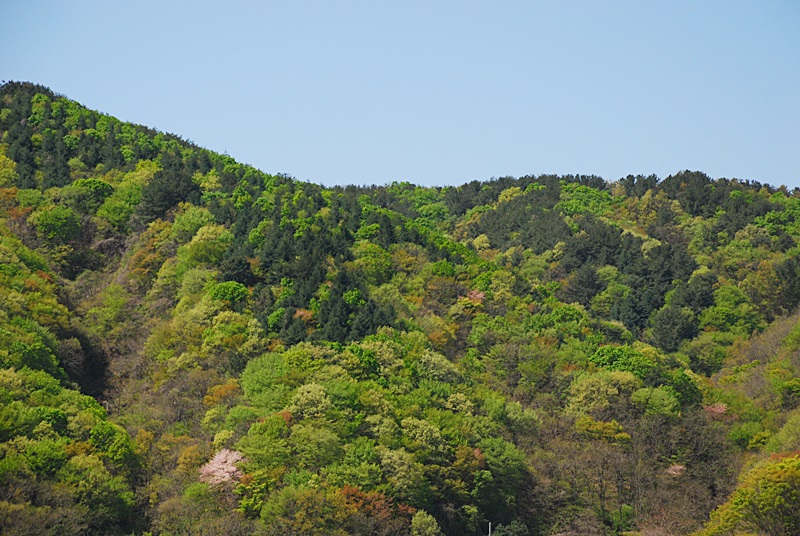 DSC_0556.JPG