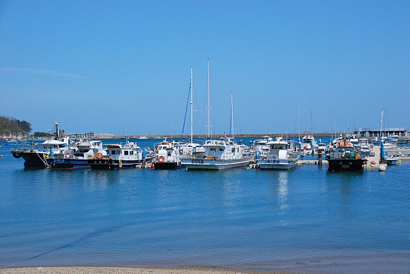 DSC_0687.JPG