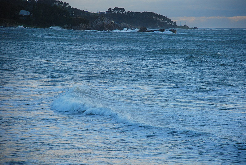DSC_0473.JPG