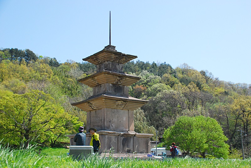 DSC_0537.JPG