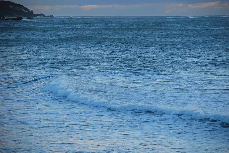 DSC_0472.JPG
