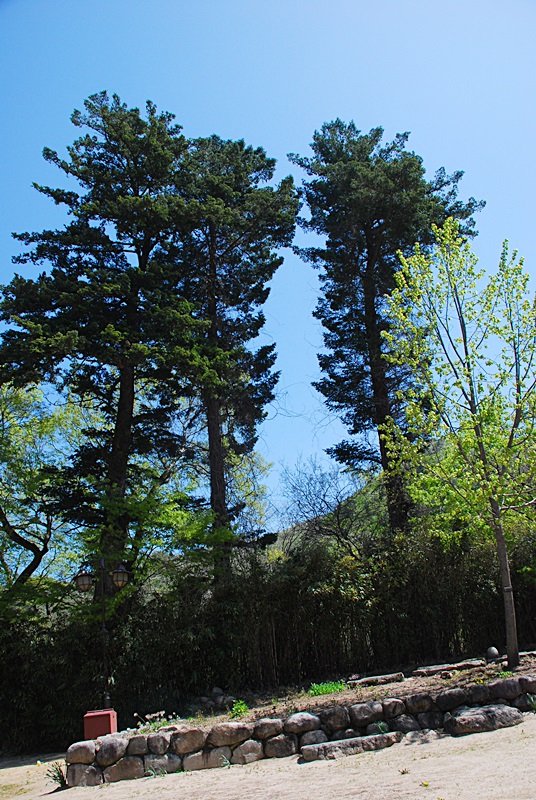 DSC_0578.JPG