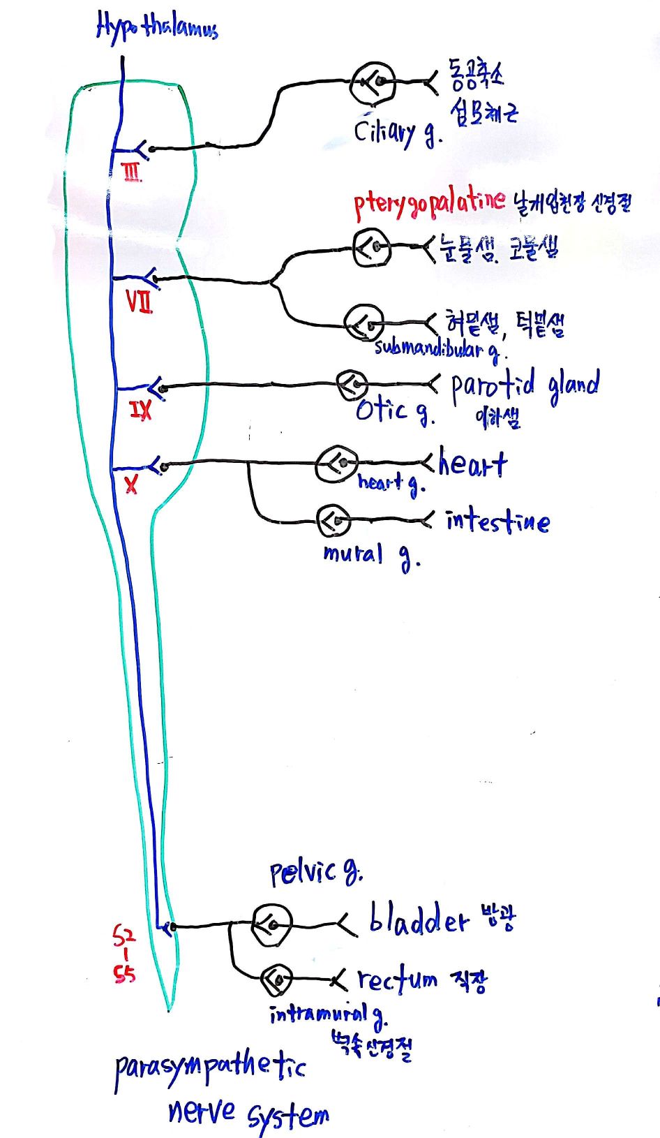 8-3-4.jpg