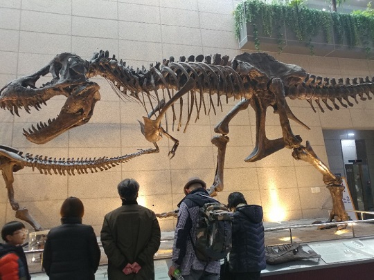 20180224_145208.jpg