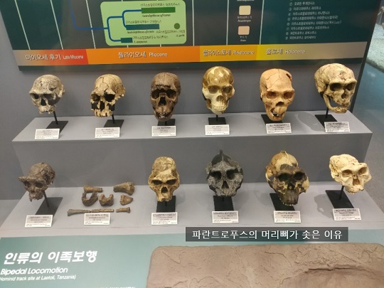 image_3955487041519623876054.jpg