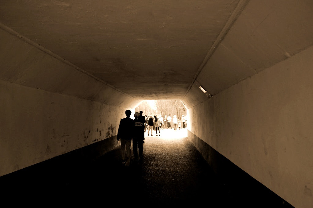 unnamed (80).jpg