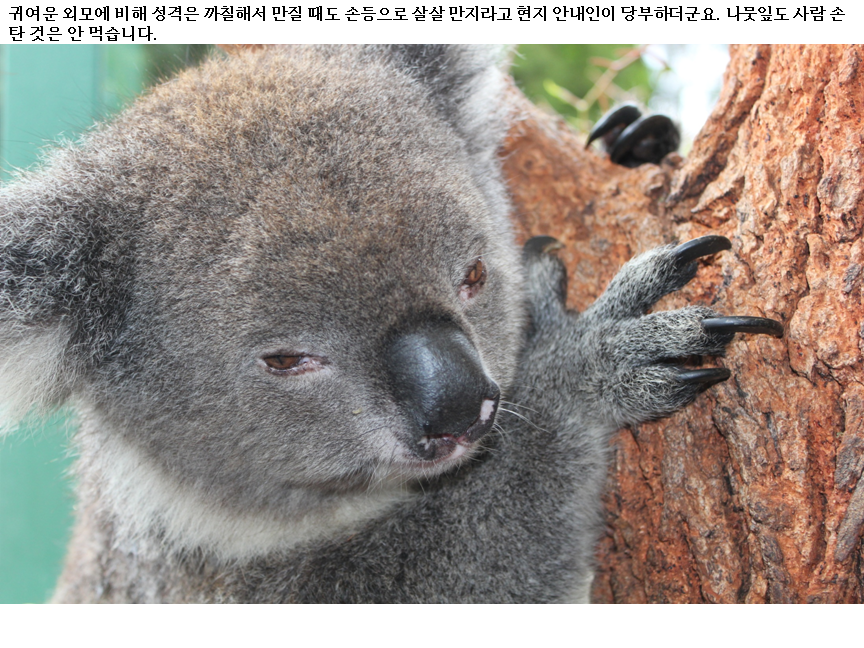 슬라이드8.PNG