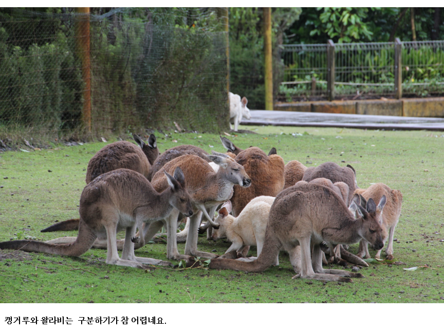 슬라이드9.PNG