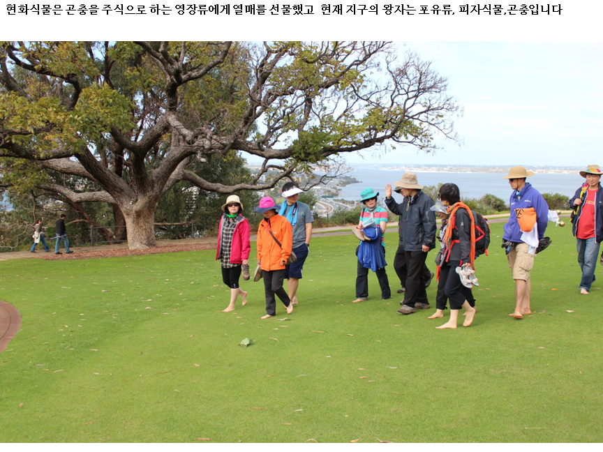 슬라이드2.PNG