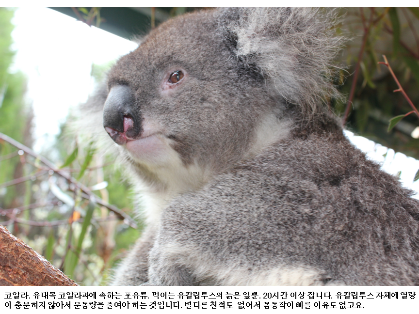 슬라이드7.PNG