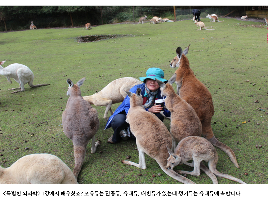슬라이드4.PNG