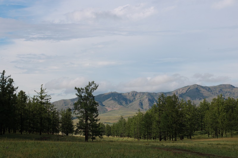 221-20180812-202454.JPG