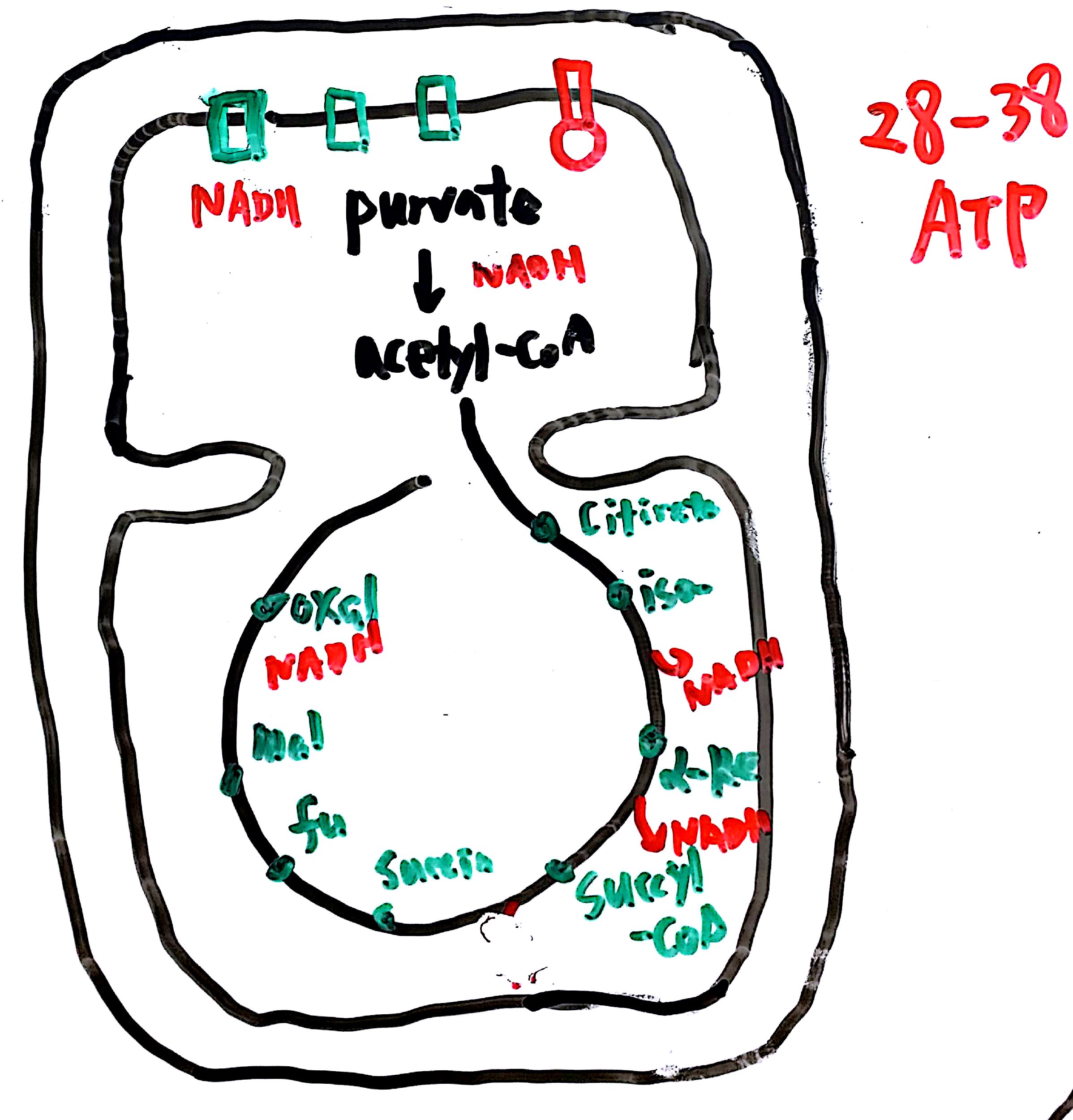 20160703 137억년 9강_6.jpg