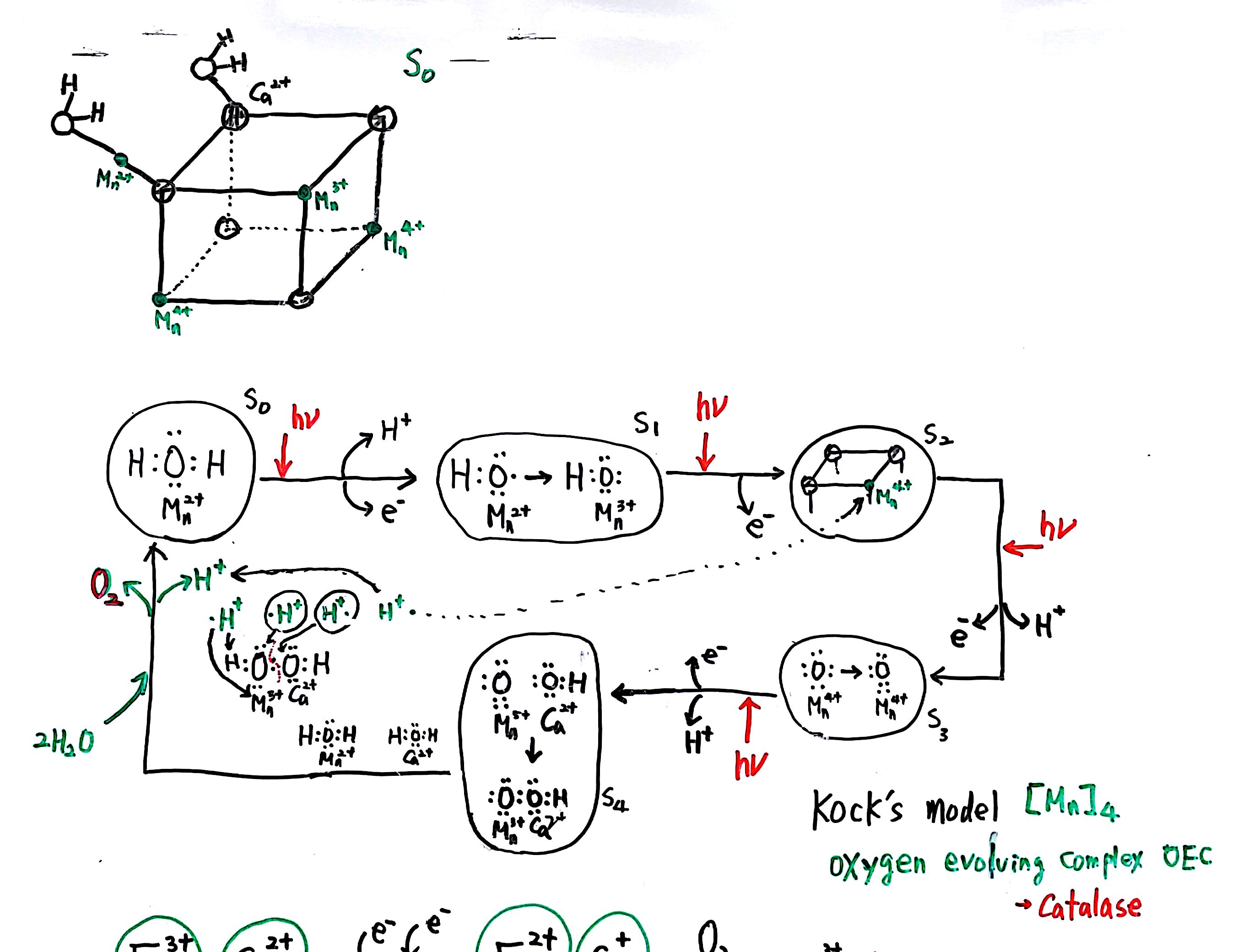 20160703 137억년 9강_14.jpg