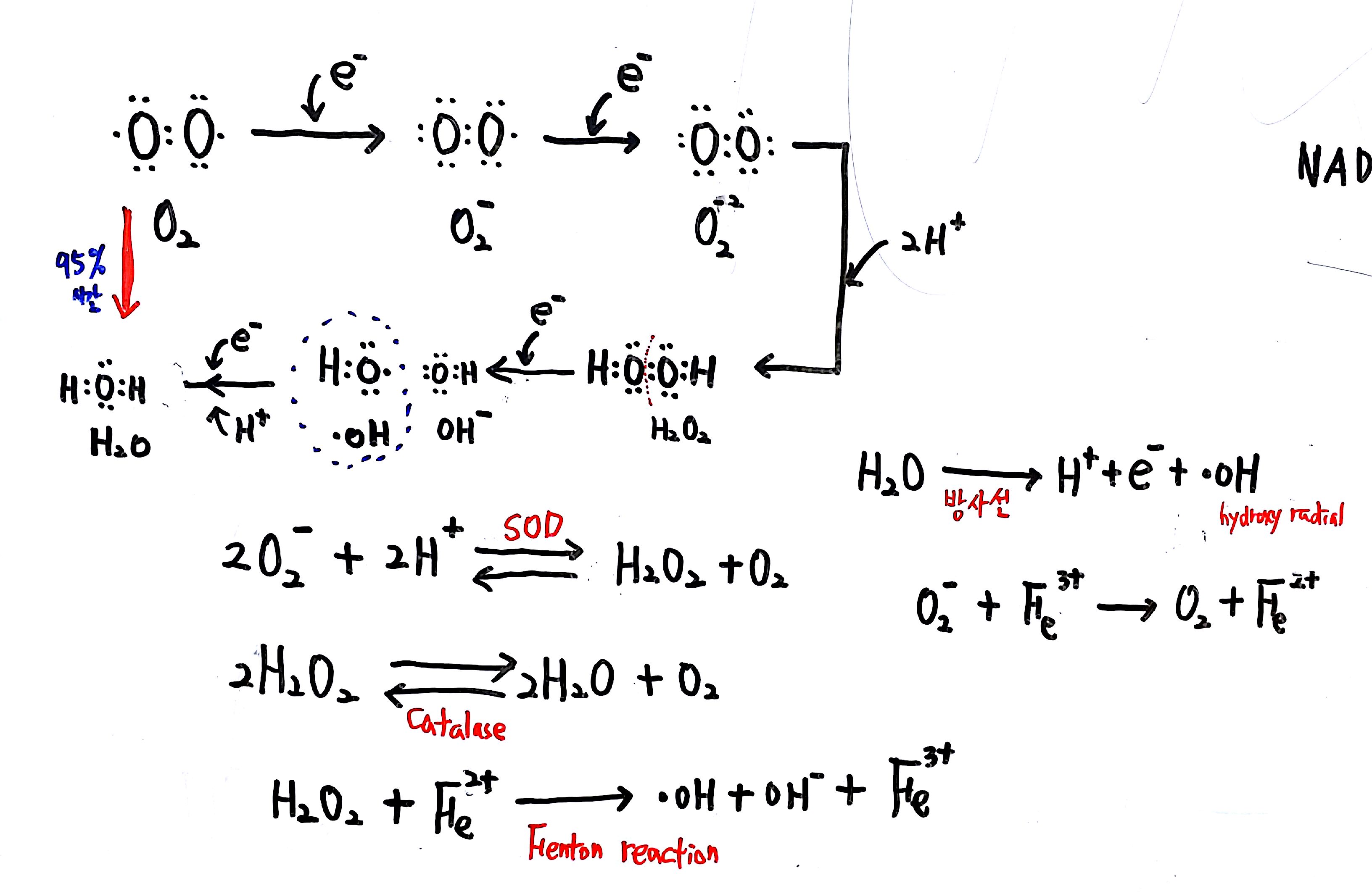 20160703 137억년 9강_12.jpg