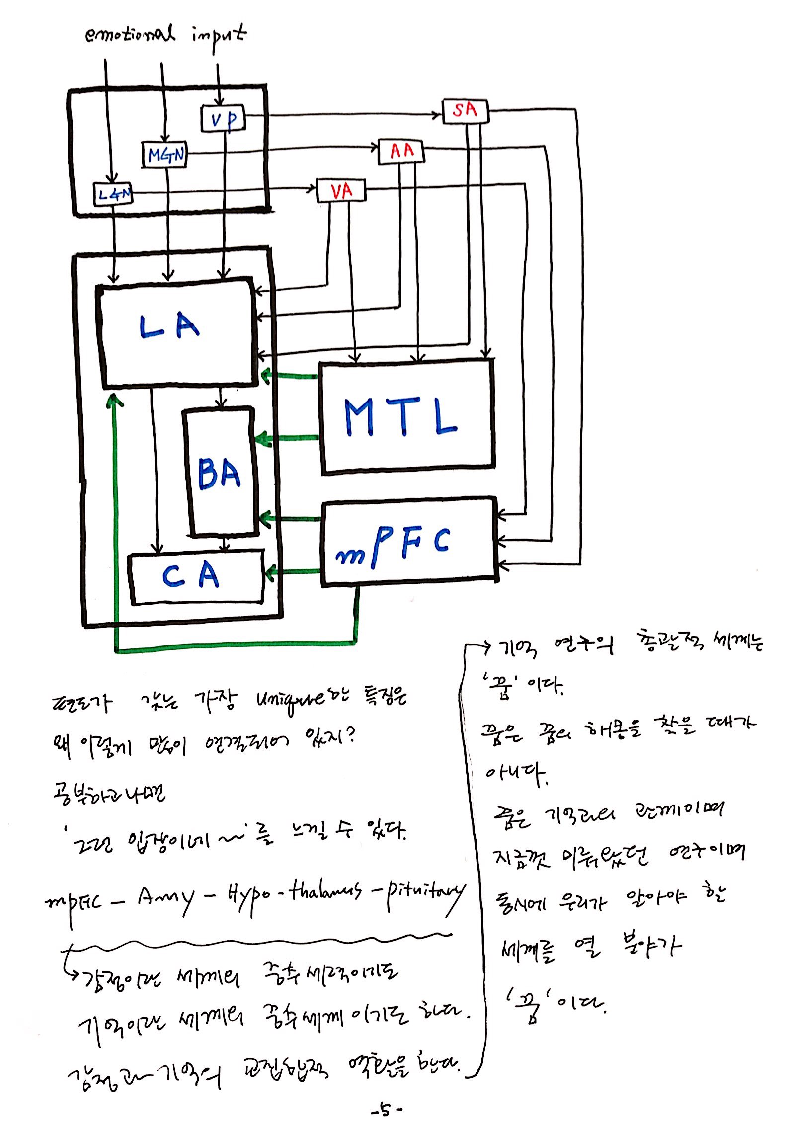 6강 기억의 확장, 꿈 (5).jpg