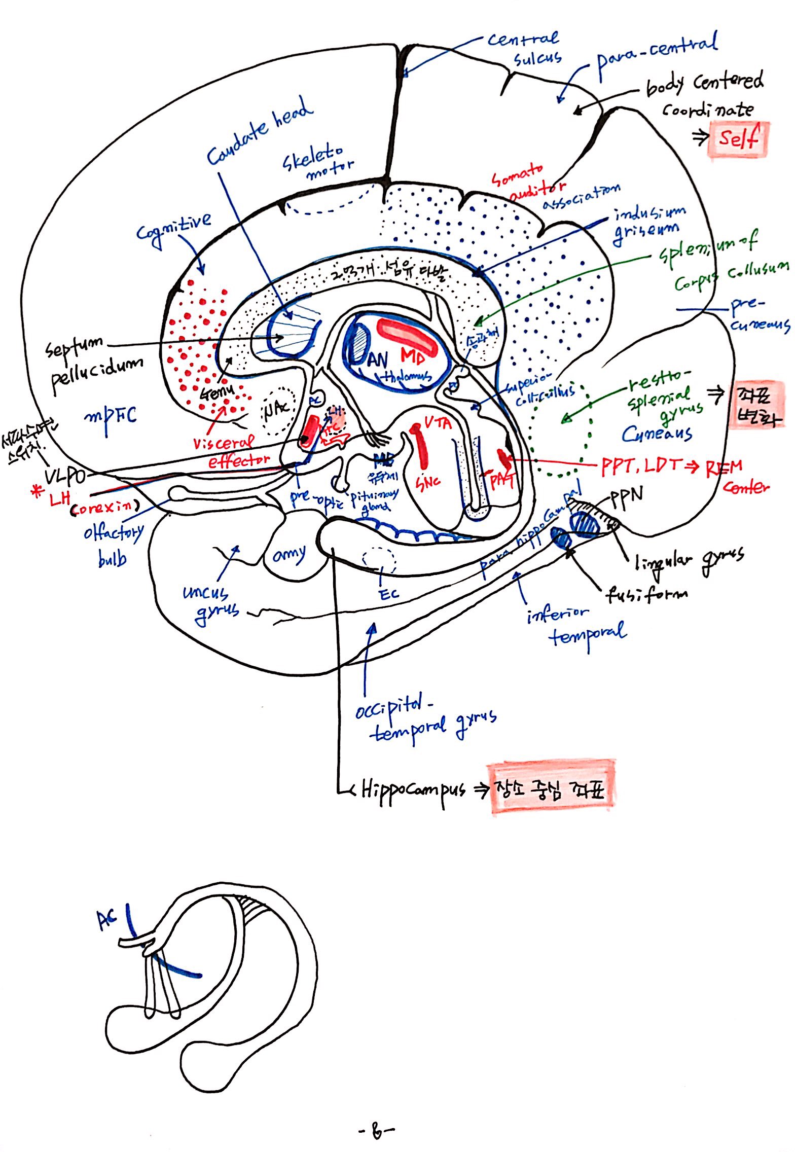 6강 기억의 확장, 꿈 (8).jpg