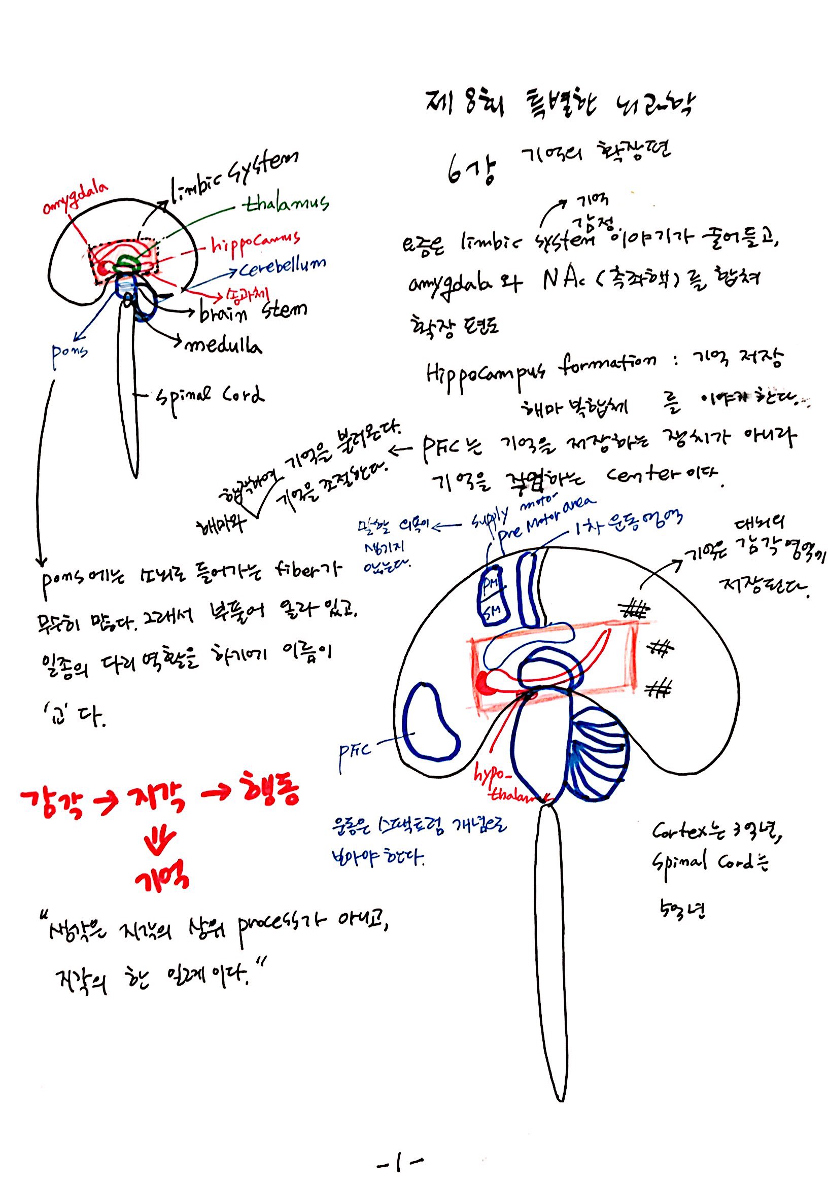 6강 기억의 확장, 꿈 (1).jpg