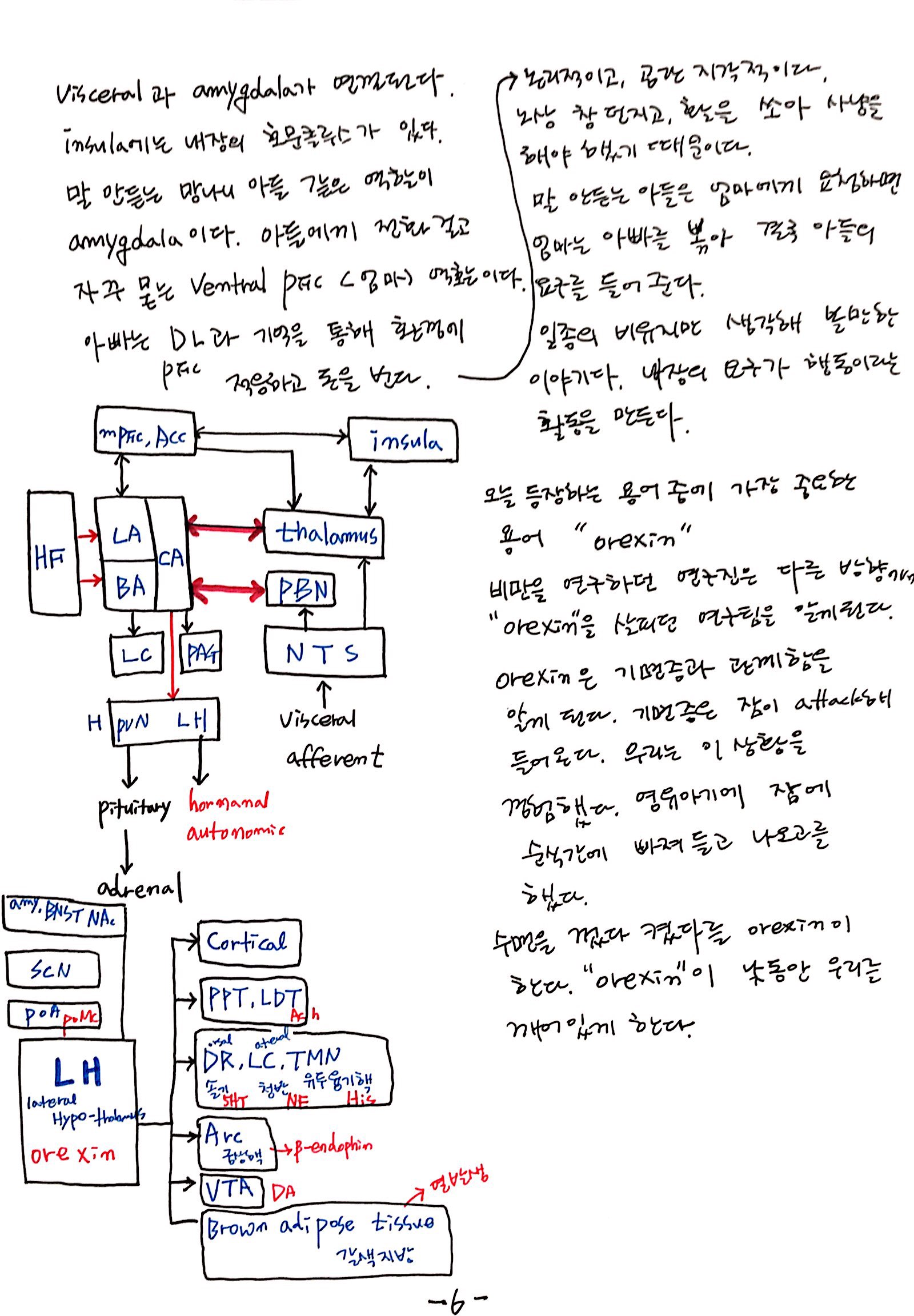 6강 기억의 확장, 꿈 (6).jpg
