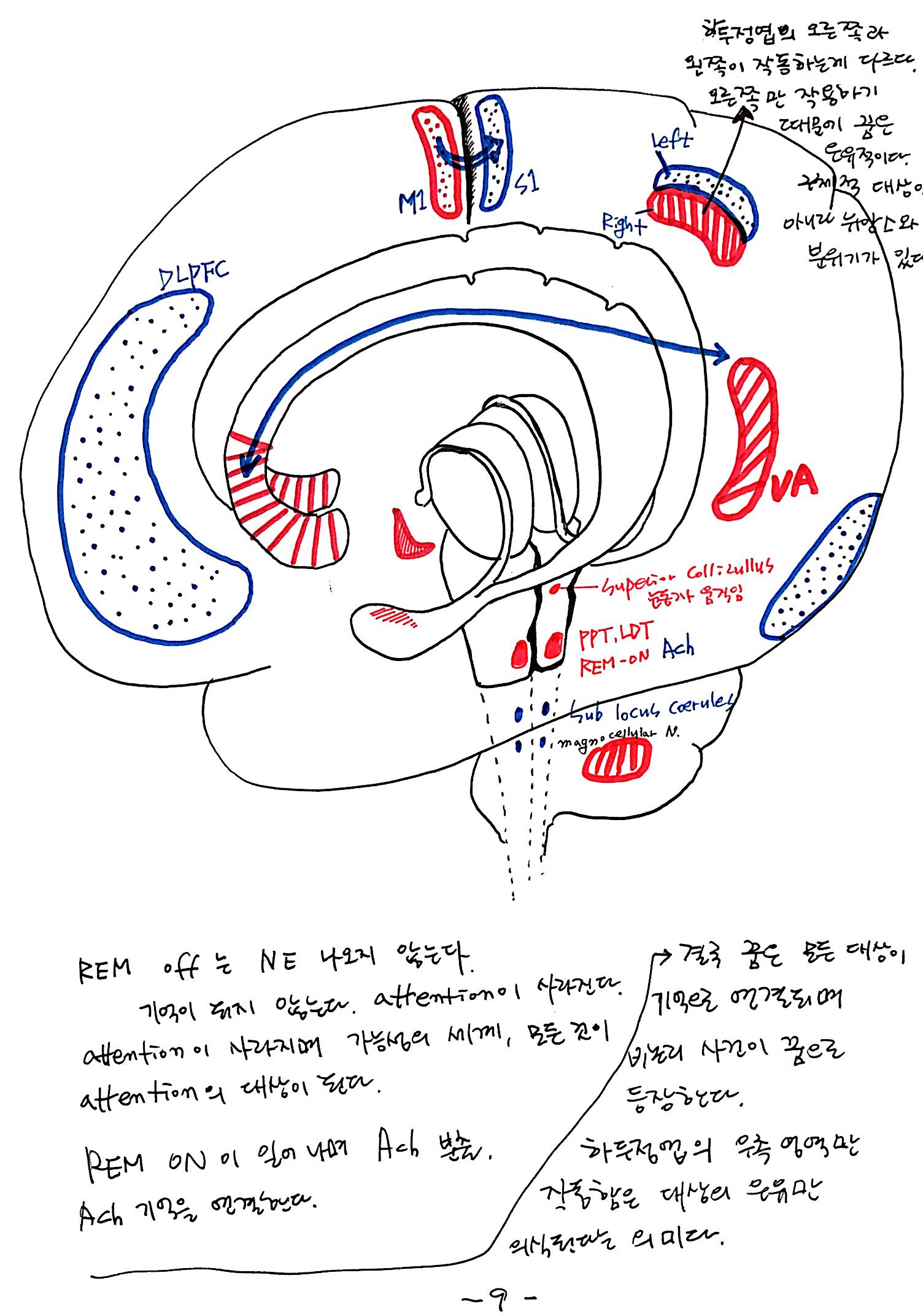 6강 기억의 확장, 꿈 (9).jpg