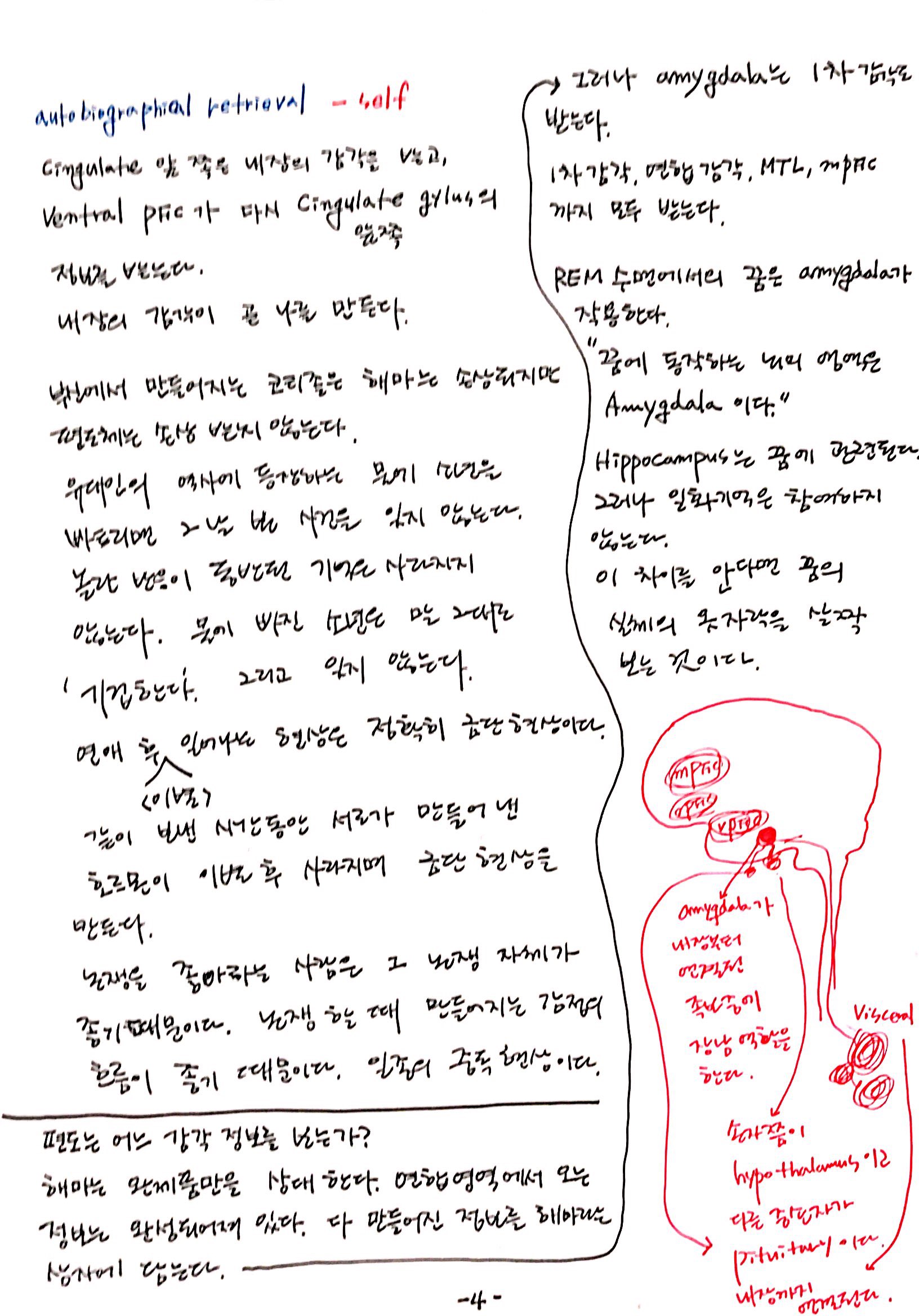 6강 기억의 확장, 꿈 (4).jpg