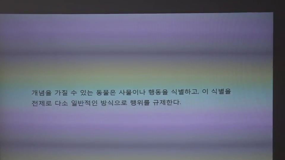 다소일반적인.jpg