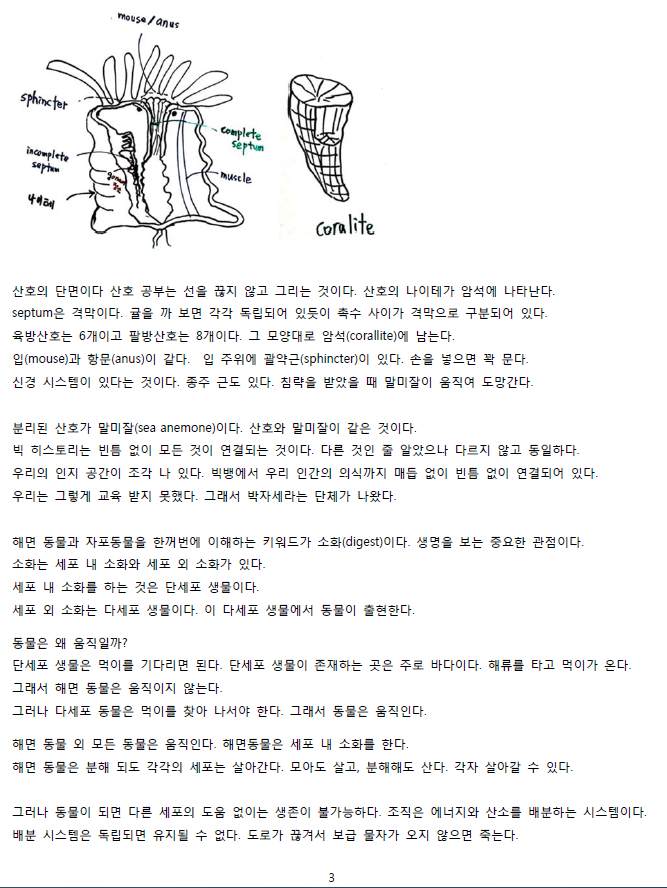ScreenClip 03.png
