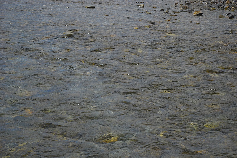 DSC_0029.JPG