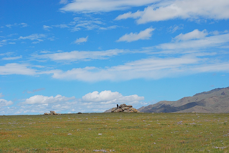 DSC_0237.JPG