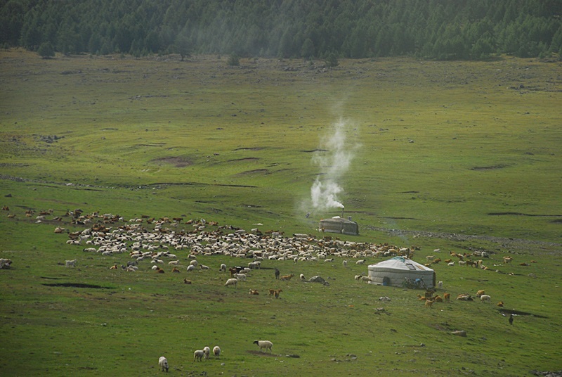 DSC_0182.JPG