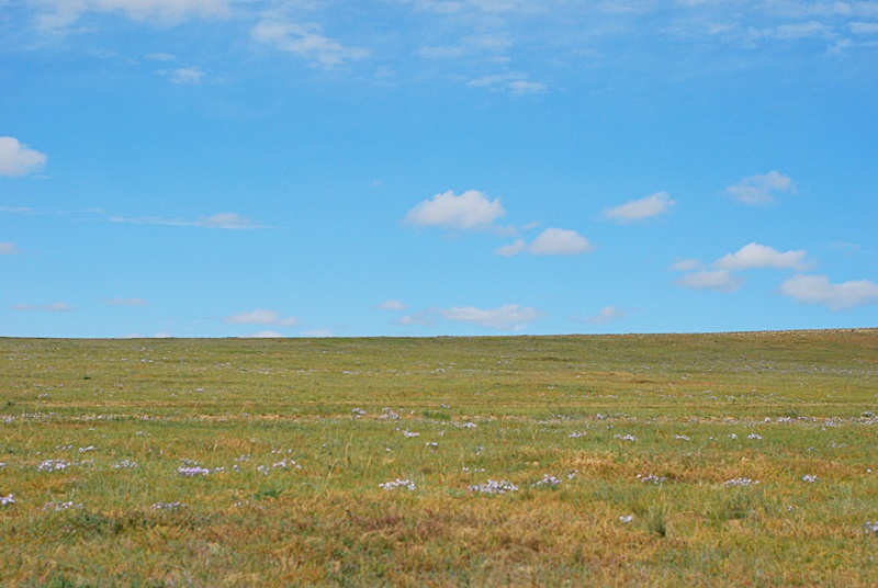 DSC_0235.JPG