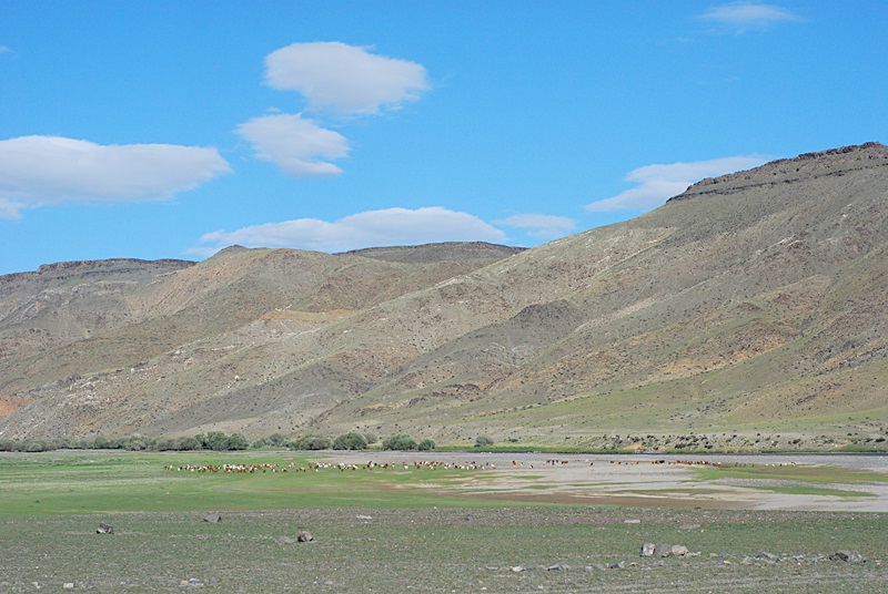 DSC_0302.JPG