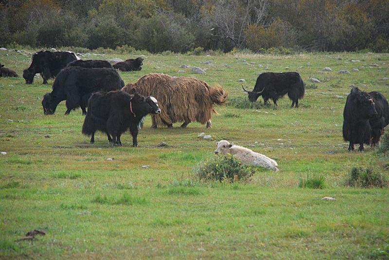 DSC_0760.JPG