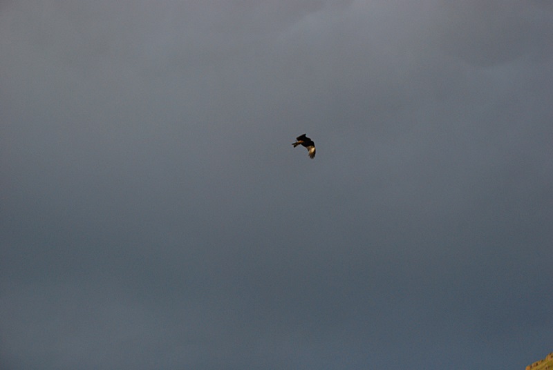 DSC_0139.JPG