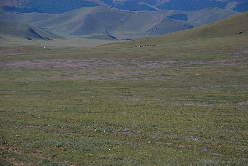 DSC_0212.JPG