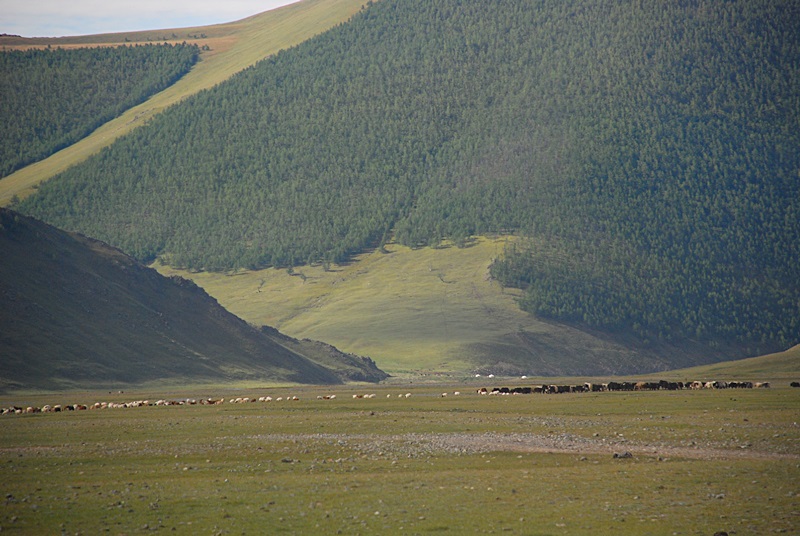 DSC_0177.JPG