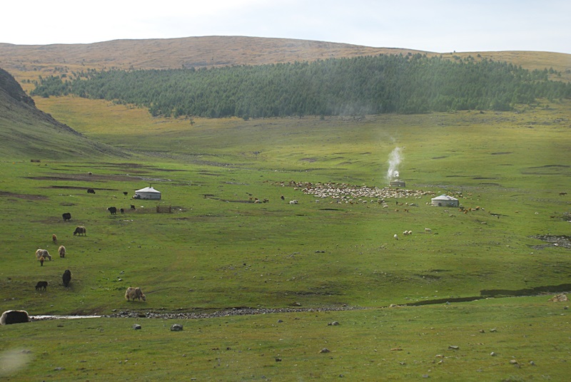 DSC_0181.JPG