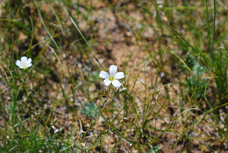 DSC_0282.JPG
