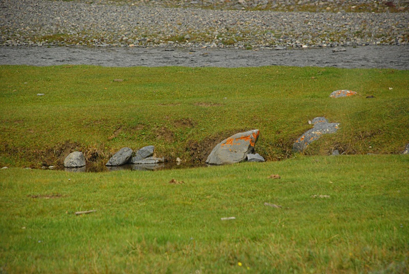 DSC_0776.JPG