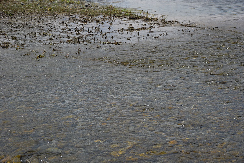 DSC_0030.JPG